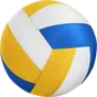 الكرة الطائرة